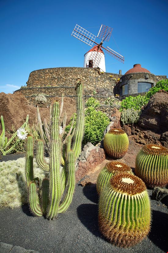Lanzarote Giardino dei Cactus stock.adobe.com 