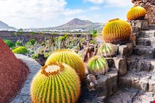 Lanzarote