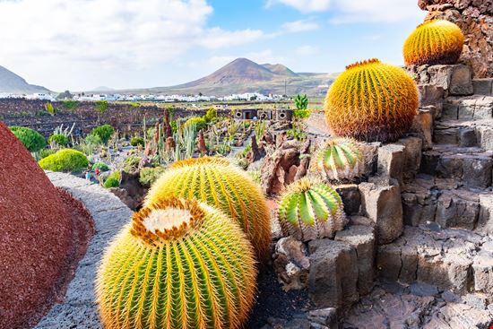 Lanzarote Giardino dei Cactus stock.adobe.com 