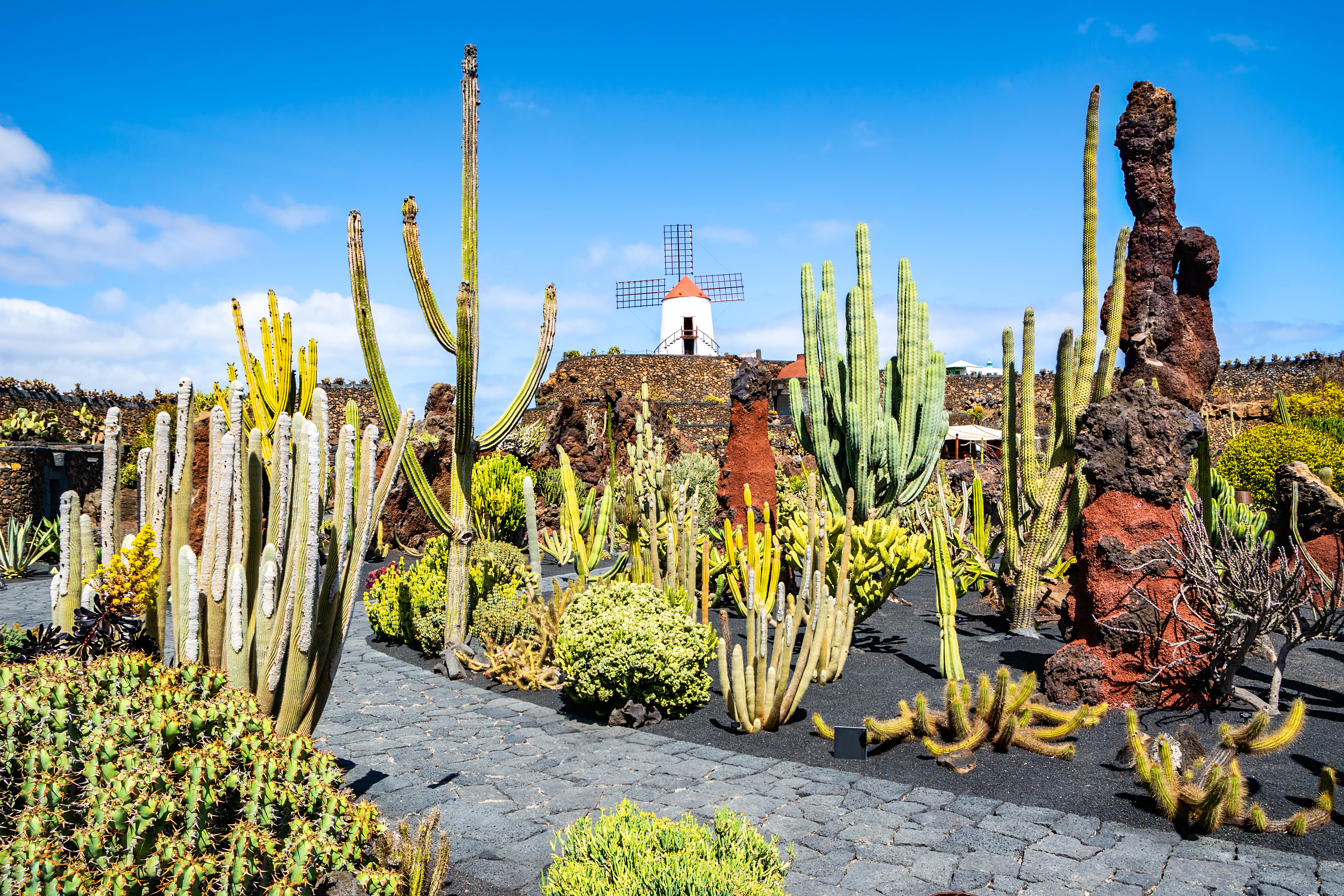 Lanzarote