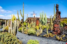 Lanzarote