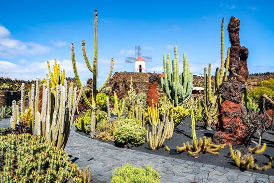 Lanzarote Giardino dei Cactus stock.adobe.com 
