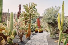 Lanzarote