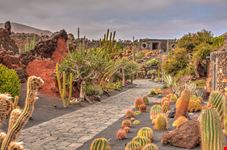 Lanzarote