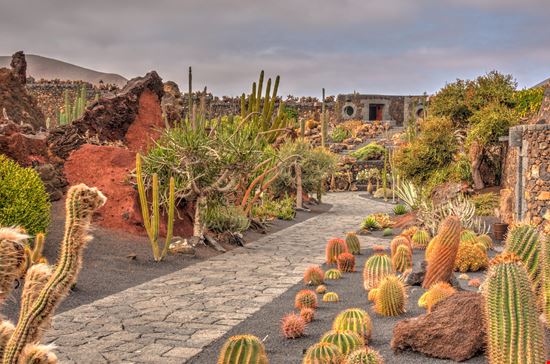 Lanzarote Giardino dei Cactus stock.adobe.com 