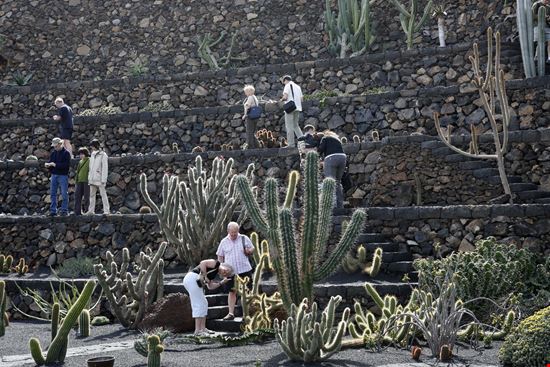 Lanzarote Giardino dei Cactus stock.adobe.com 