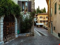 Tremosine