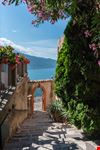 Tremosine