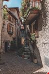 Tremosine