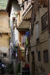 Tremosine