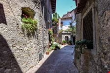 Tremosine