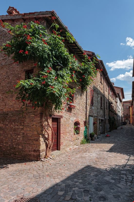 Mercatello sul Metauro Mercatello sul Metauro Shutterstock.com 