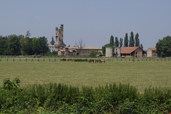 Castello di Tortona Castello di Tortona Alessandro Zappalorto / Shutterstock.com 