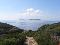 Isola di Zannone