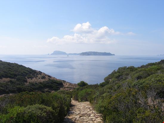 Isola di Zannone Isola di Zannone Shutterstock.com 