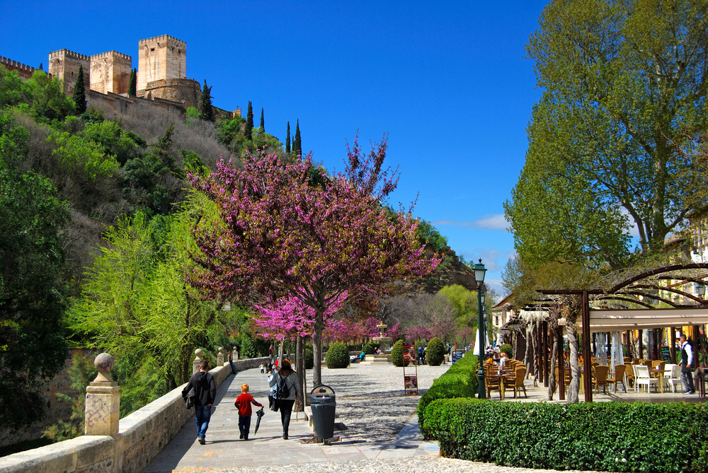424010409170357_Granada_409388707