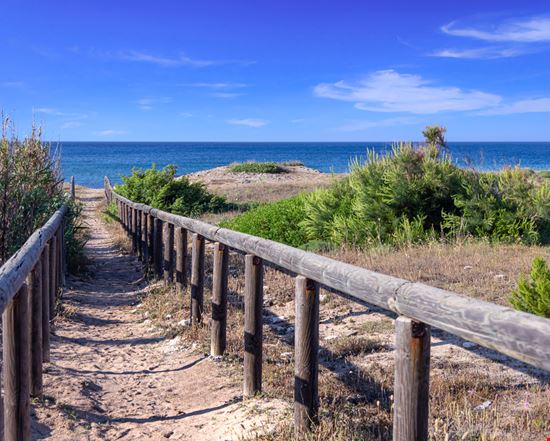 Dune di Campomarino Tra il verde e il blu del mare vololibero - Shutterstock.com 