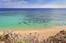 Dune di Campomarino