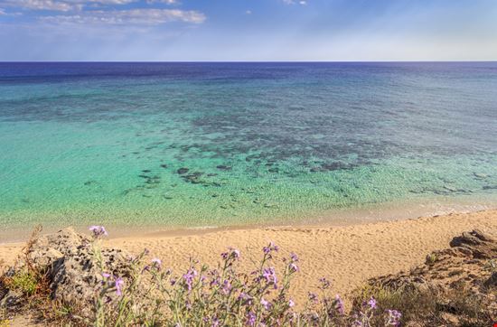 Dune di Campomarino Tra il verde e il blu del mare vololibero - Shutterstock.com 