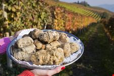 Tartufo