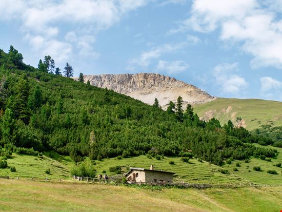 Livigno Val Federia stock.adobe.com 