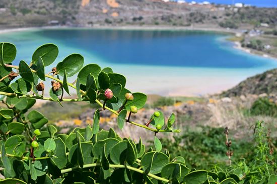 Isola di Pantelleria Lago Specchio di Venere stock.adobe.com 