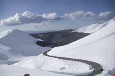Terminillo