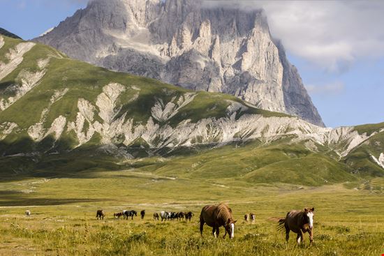 Campo Imperatore Il piccolo Tibet d'Abruzzo stock.adobe.com 