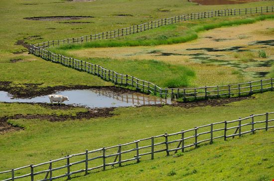 Forca Canapine Il passo di montagna tra Marche e Umbria stock.adobe.com 
