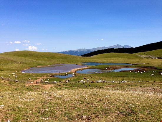 Forca Canapine Il passo di montagna tra Marche e Umbria stock.adobe.com 