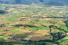 Forca Canapine