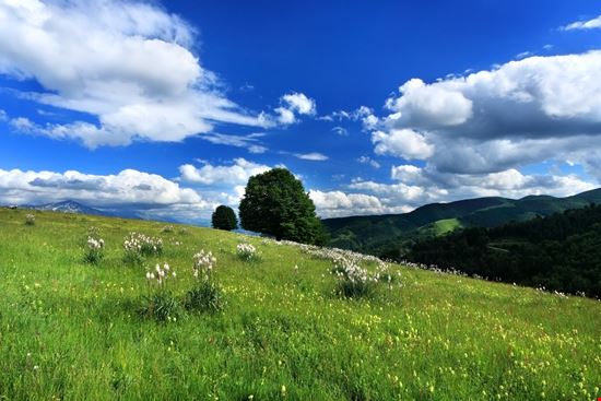 Forca Canapine Il passo di montagna tra Marche e Umbria stock.adobe.com 