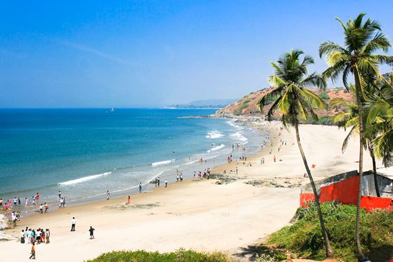 Goa Goa Aleksandar Todorovic - Shutterstock.com 