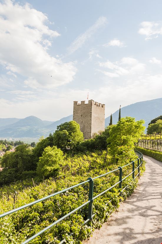 Merano Torre delle Polveri stock.adobe.com 