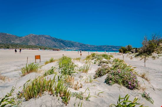 Elafonissi beach Crete stock.adobe.com 