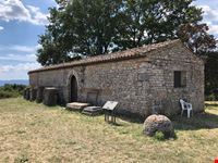 Carsulae