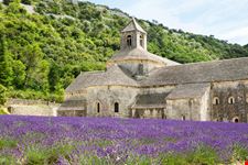 Abbaye de Senanque