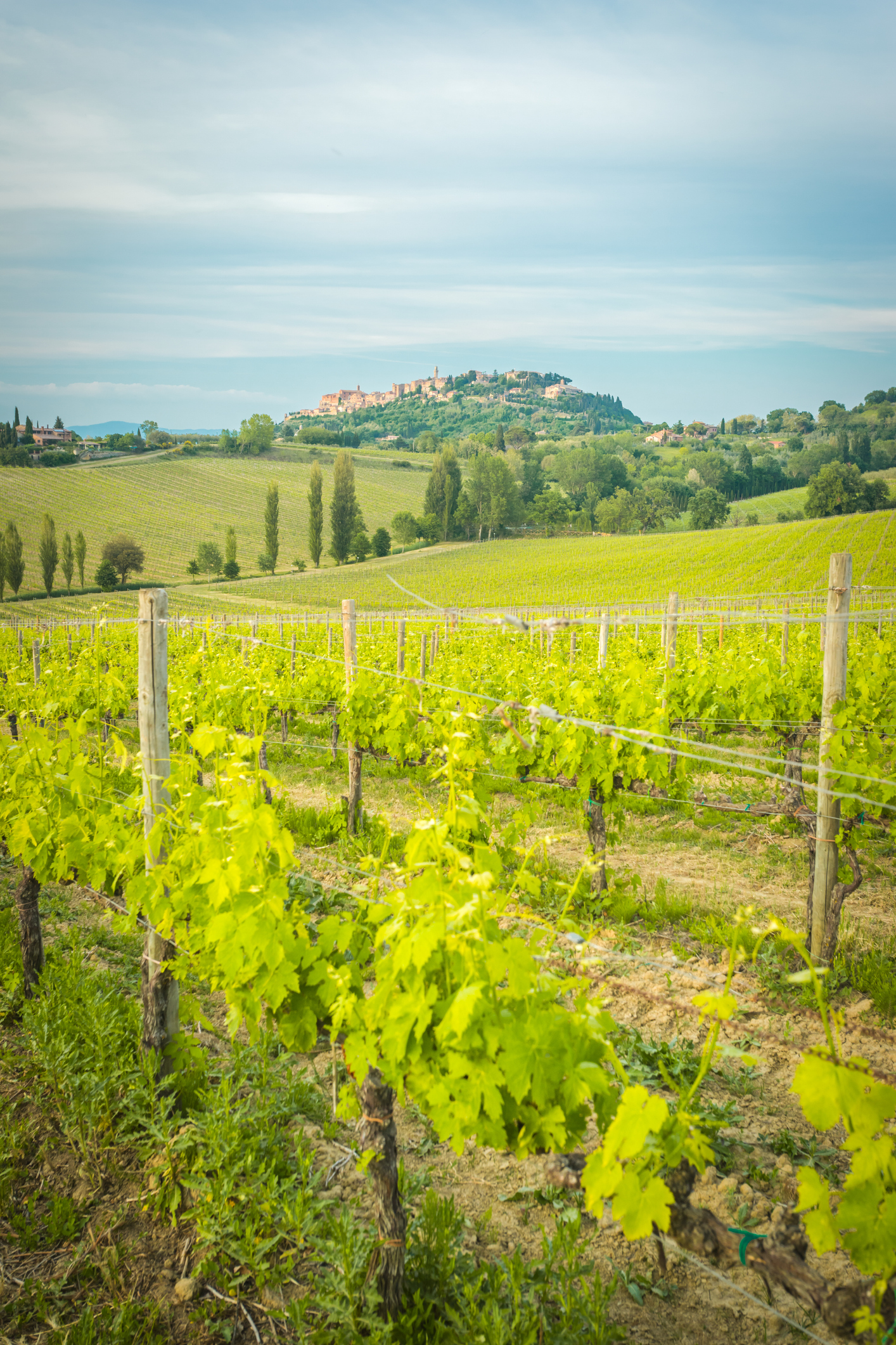 Montepulciano
