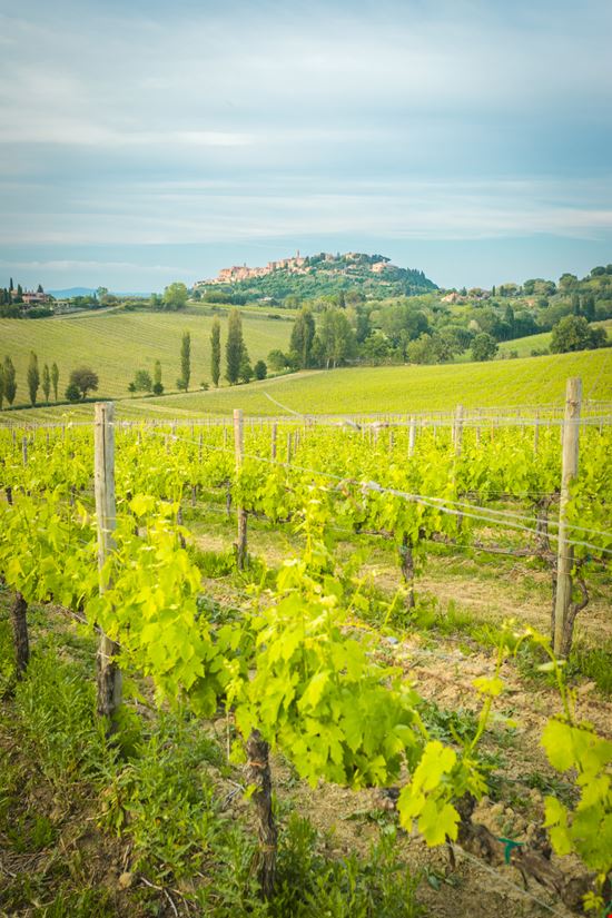 Montepulciano Montepulciano NoSystem images - Istockphoto.com 