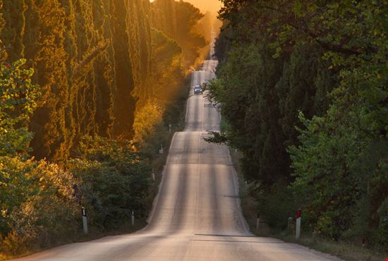 Viale dei Cipressi Viale dei Cipressi robertonencini - Shutterstock.com robertonencini
