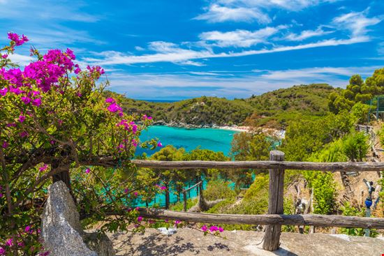 Spiaggia Fetovaia Spiaggia Fetovaia Balate Dorin - Shutterstock.com 