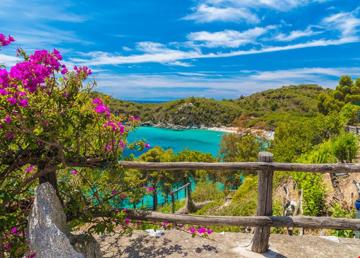 Cosa vedere all'Isola d'Elba: Fetovaia