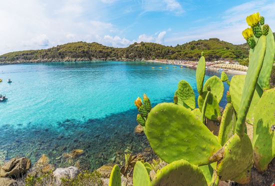 Spiaggia Fetovaia Spiaggia Fetovaia Balate Dorin - Shutterstock.com 