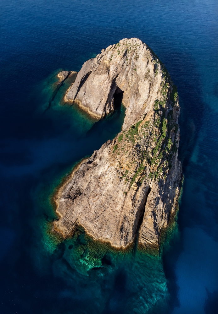 Palmarola