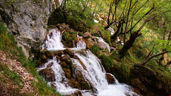 Riserva Naturale Guidata Zompo Lo Schioppo La riserva da non perdere in Abruzzo Shutterstock.com 