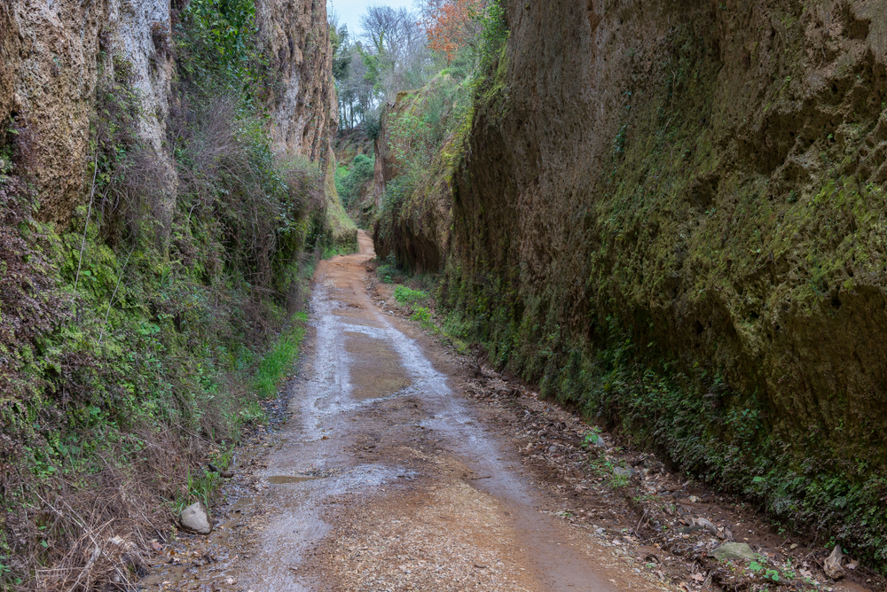 Maremma