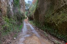 Maremma