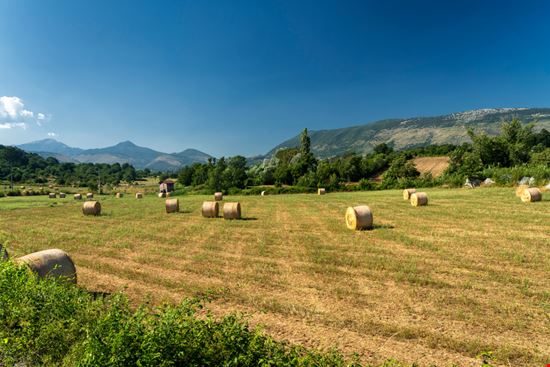 Prossedi Prossedi Shutterstock.com 