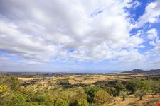 Panicale