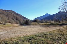 Laghi